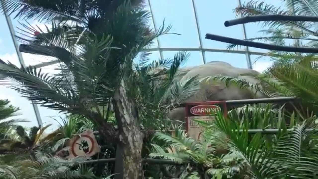 ロストワールドエリアの植栽と警告サイン