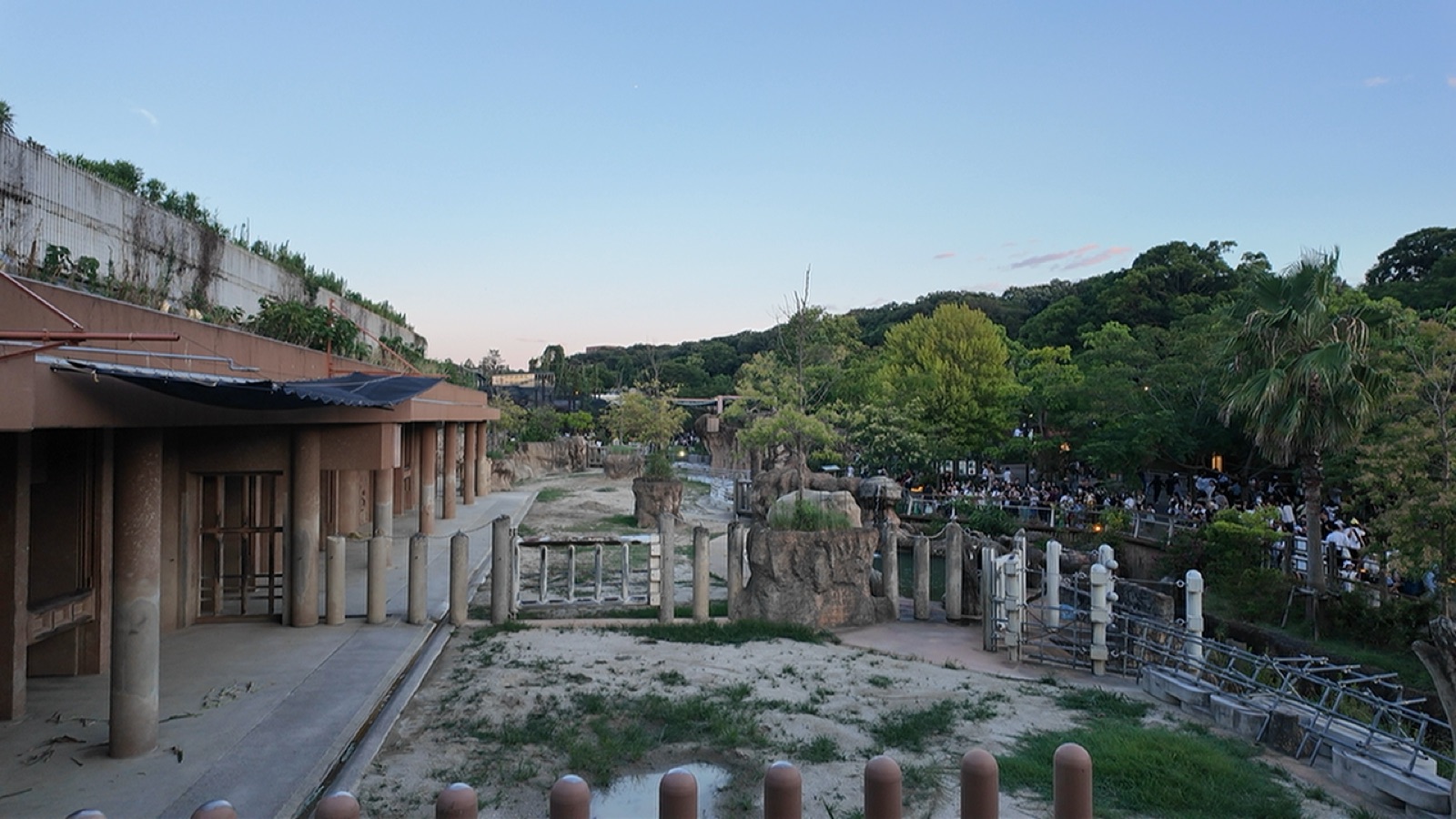 夕暮れのゾウ展示エリア。右手には多くの来園者