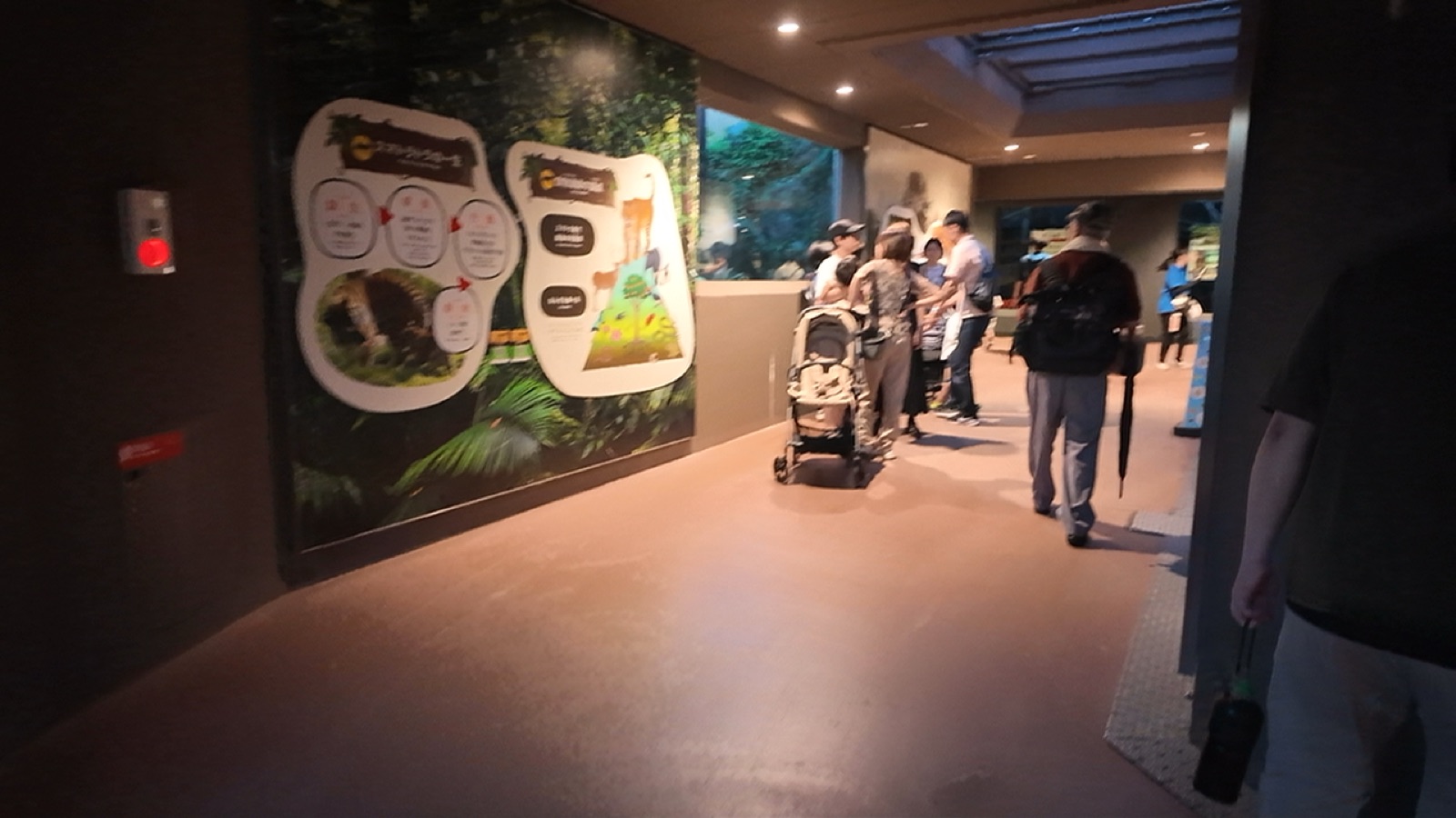 館内の展示エリア。ベビーカーでの来園者も多く見られました