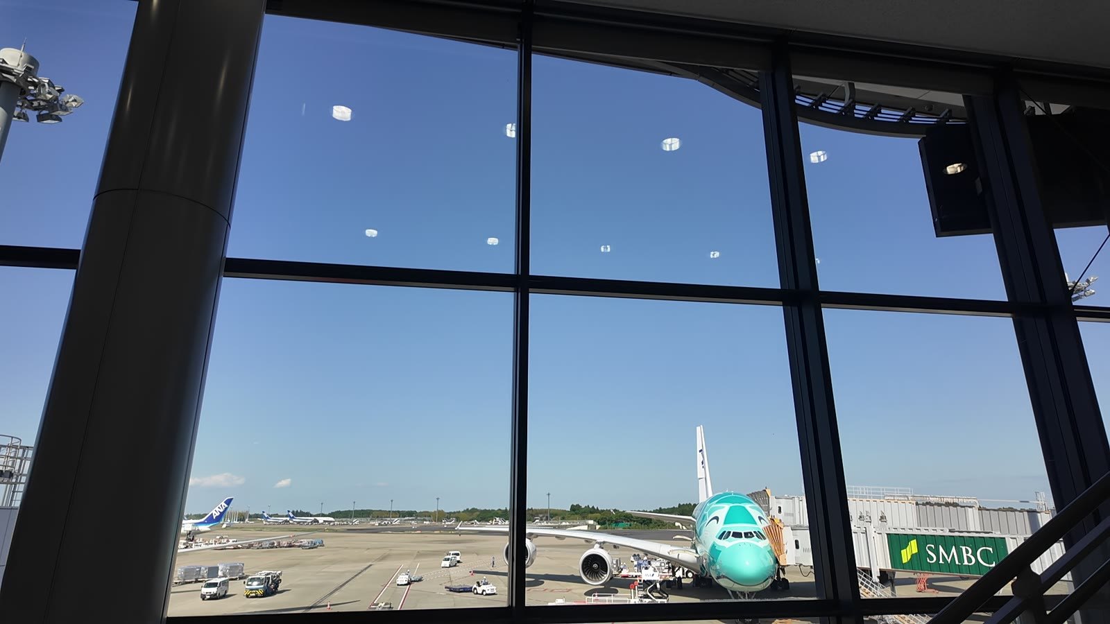 成田空港に到着したフライングホヌ