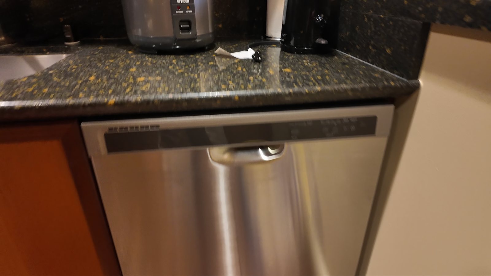 本当に大きい食器洗い機