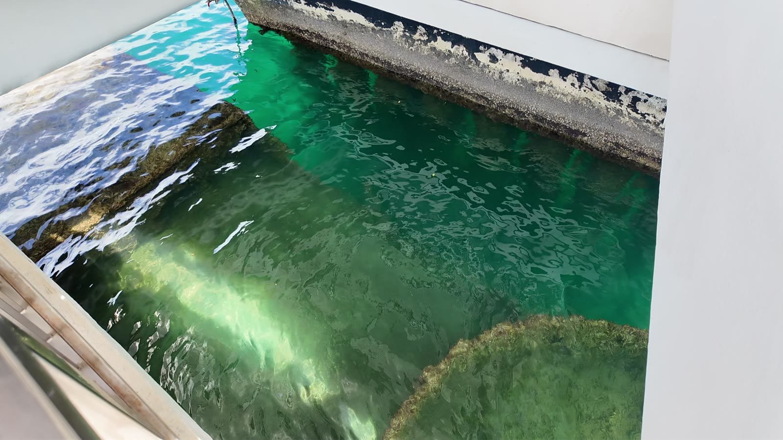 今も油が漏れ出すアリゾナの沈没地点の水面