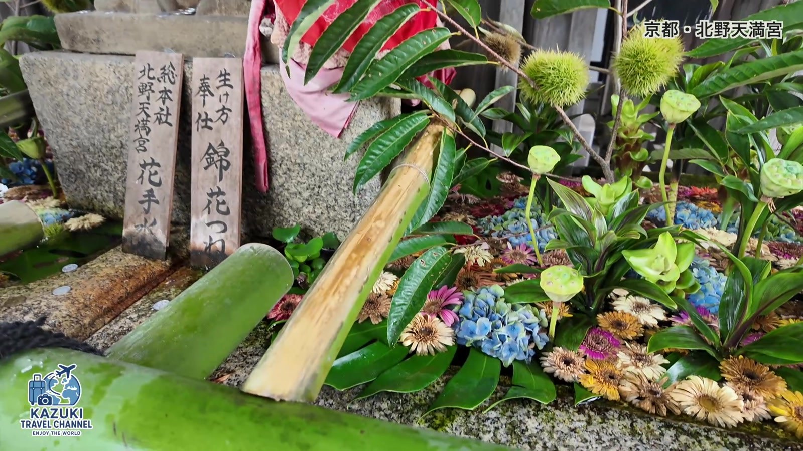 水面に花を浮かべた花手水